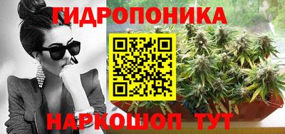 apvp Краснознаменск