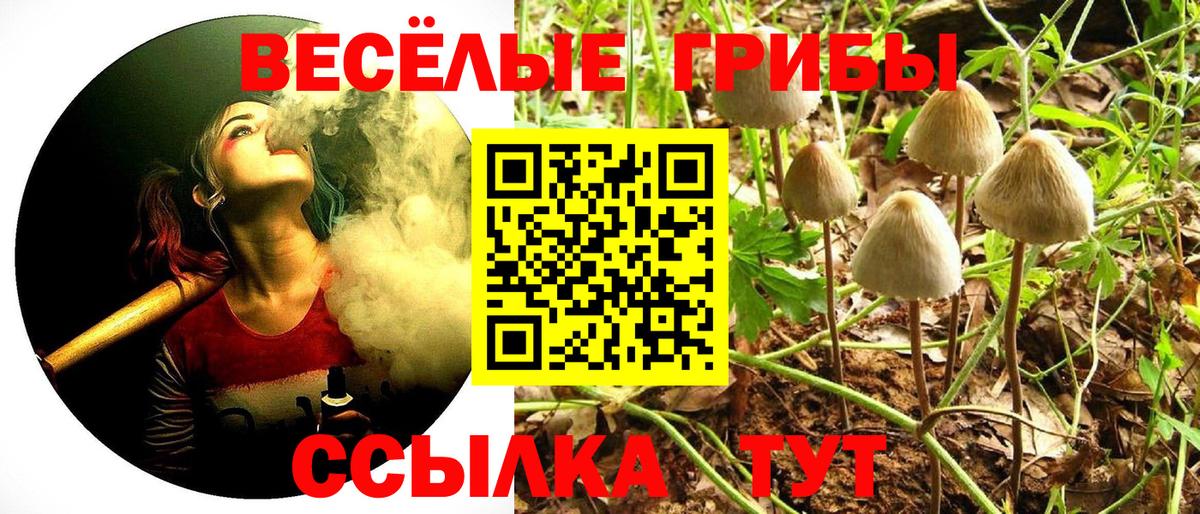Псилоцибиновые грибы мицелий  Вход с VPN  Холмск  Галлюциногенные грибы мухоморы 